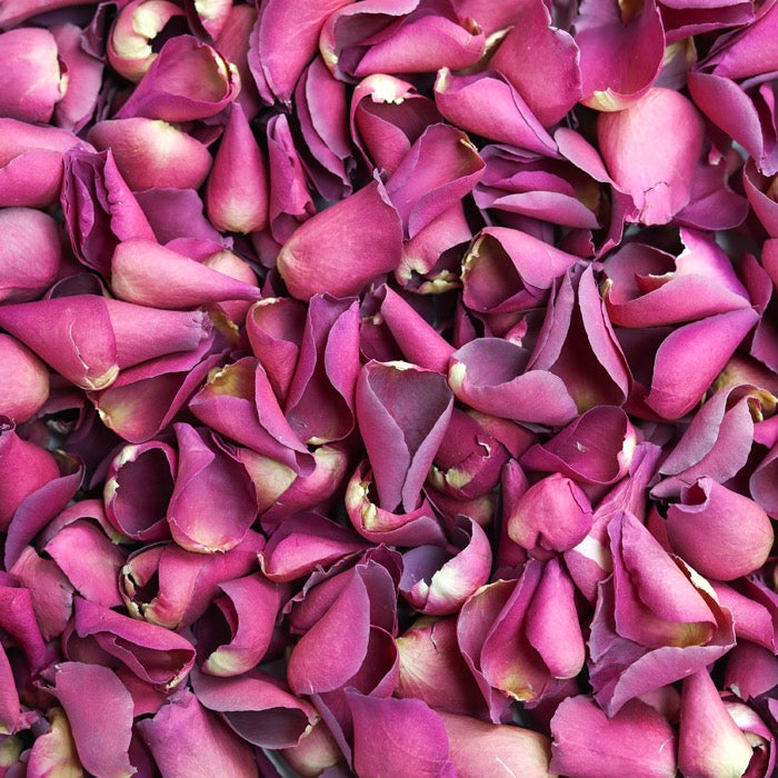 Hot Pink Rose Petals – LSF Wholesale
