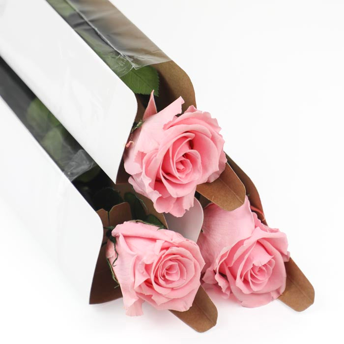 Pink Preserved Rose Stems