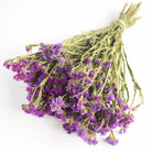 LSF Wholesale British Dried Flowers Purple Statice