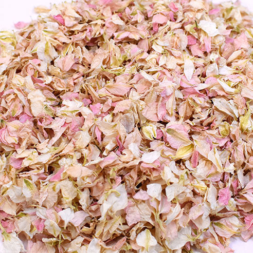 Unbranded Confetti Pops (Pack of 10)