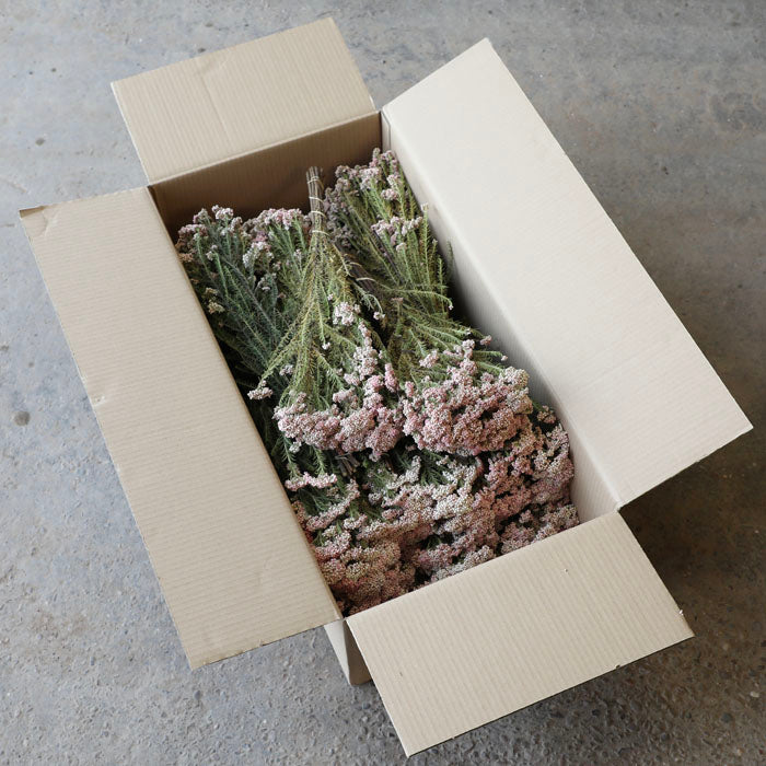 Pink Rice Flower Bunch - Bulk Box of 20 – LSF Wholesale