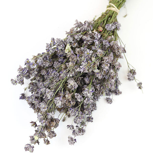 Wholesale Dried Flower Grey Delphinium Bunch | Larkspur Dried Flowers