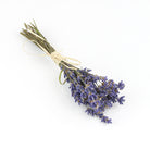 Mini Dried Flower Lavender Bundle